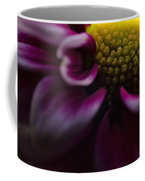 Flower Coffee Mug featuring the photograph Purple Mum Macro by Jim Shackett