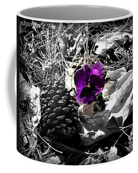 Pansy Coffee Mug featuring the photograph Purple Pansy by Tara Potts