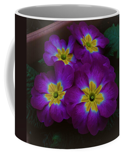 Wall Decor Coffee Mug featuring the photograph Purple Primrose by Ron Roberts