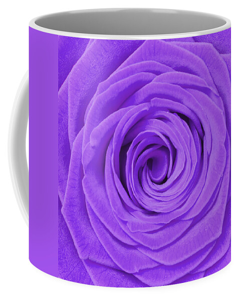 Beauty Coffee Mug featuring the photograph Purple Rose by Semmick Photo