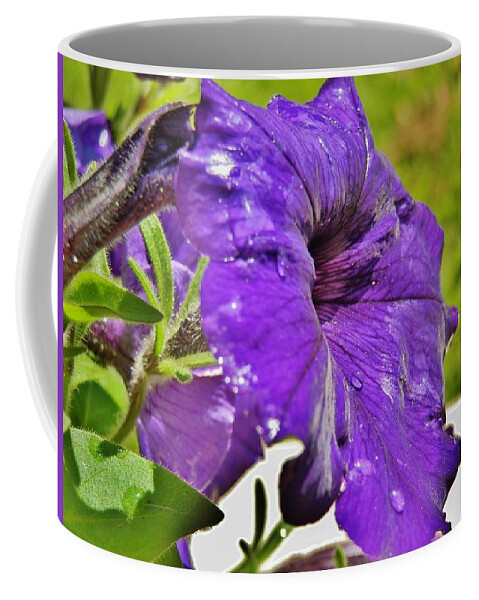 Flower Coffee Mug featuring the photograph Purple Taffeta by VLee Watson