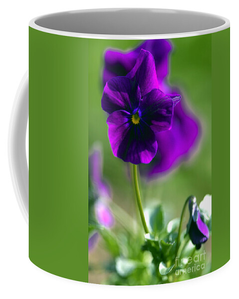 Purple Viola Coffee Mug featuring the photograph Purple Viola by Sharon Talson