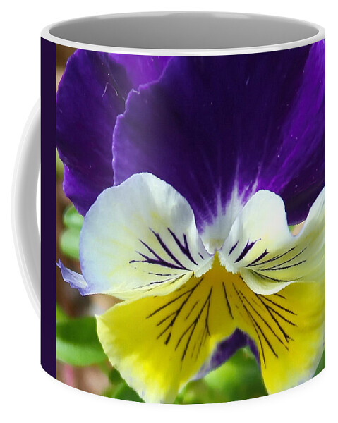 Purple Pansies Coffee Mug – bariellenpotter
