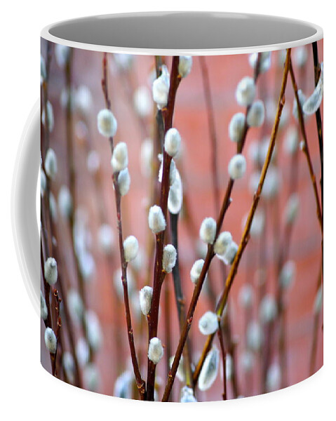Spring Coffee Mug featuring the photograph Pussy Willows by Ira Shander