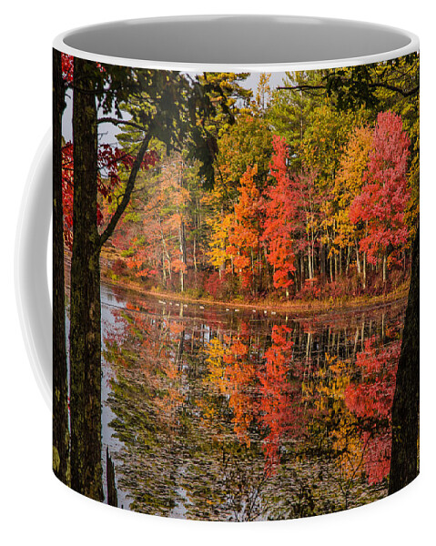 #foliage_reports Coffee Mug featuring the photograph Quabbin reservoir fall foliage by Jeff Folger