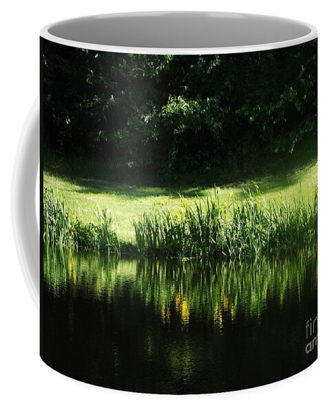 Still Pond Coffee Mug featuring the photograph Quiet Reflection by Michelle Welles