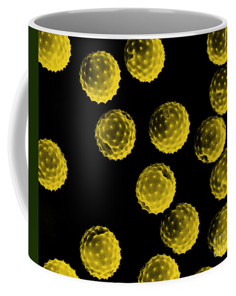 Botany Coffee Mug featuring the photograph Ragweed Pollen Sem by David M. Phillips