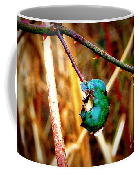 Single Raindrop Magnifies Background Coffee Mug featuring the photograph Raindrop Magnifies by Susan Garren