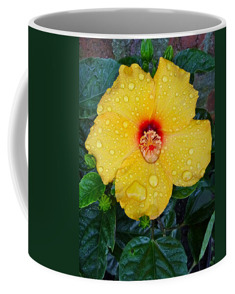 Flower Coffee Mug featuring the photograph Raindrops by Ellen Paull