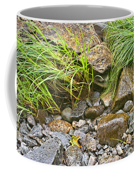Rock Coffee Mug featuring the photograph Raindrops on the Riverbank Photo by Peter J Sucy