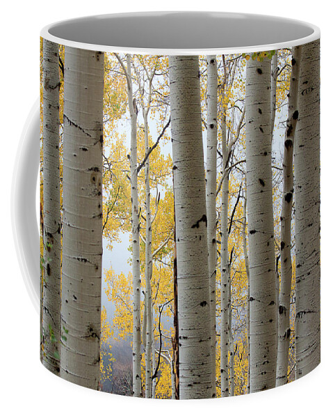 Autumn Colors Coffee Mug featuring the photograph Rainy Day Aspen by Jim Garrison