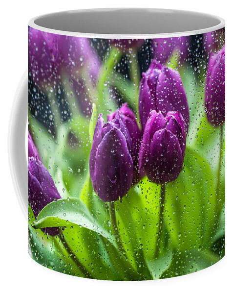 Netherlands Coffee Mug featuring the photograph Rainy Tulips 1 by Jenny Rainbow