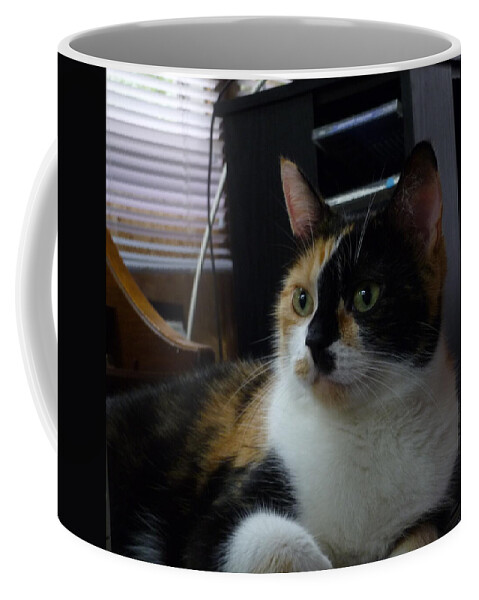 Cat Photography Coffee Mug featuring the photograph PhanTOM Calico by Lingfai Leung