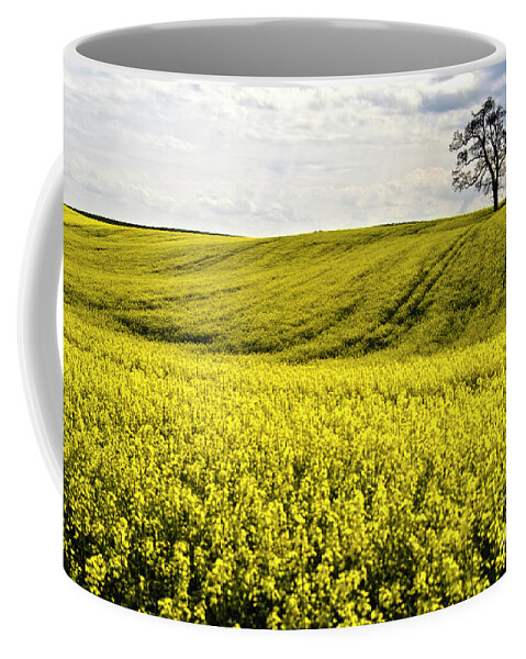 Heiko Coffee Mug featuring the photograph Rape landscape with lonely tree by Heiko Koehrer-Wagner