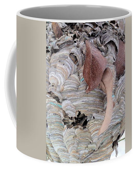 Wasp Nest Coffee Mug featuring the photograph Ravaged by Doris Potter