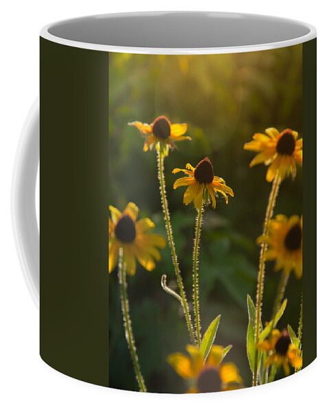 Flower Prints Coffee Mug featuring the photograph Reach for the sun by Stacy Abbott