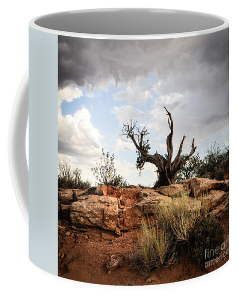 Pine Tree Coffee Mug featuring the photograph Reaching by Cheryl McClure