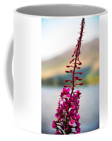 Plant Coffee Mug featuring the photograph Reaching to the Sky by Norma Brock
