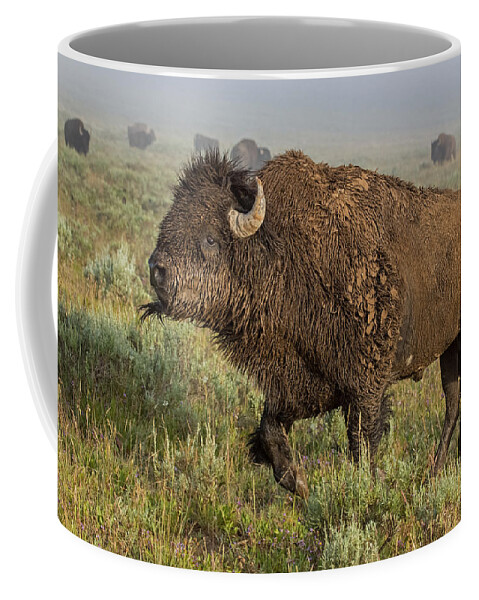 Bison Coffee Mug featuring the photograph Ready for Battle by Sandy Sisti