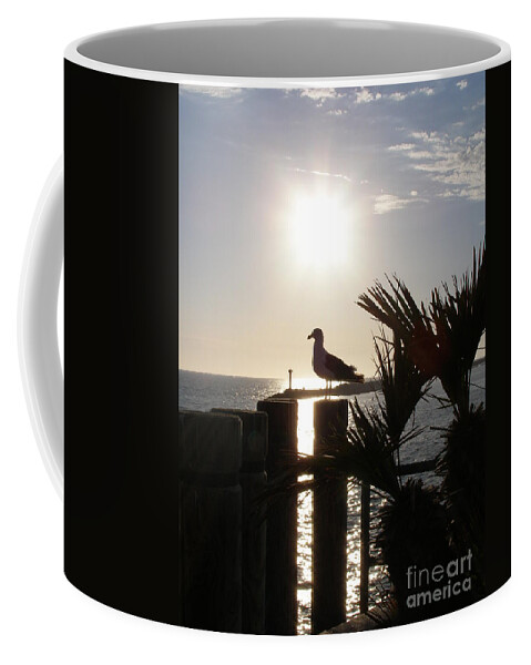 Seagull Coffee Mug featuring the photograph Ready for Sunset by Bev Conover