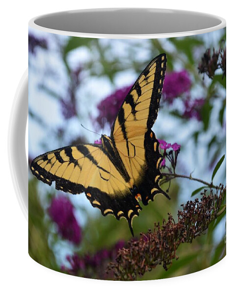 Butterfly Coffee Mug featuring the photograph Ready For Take Off by Judy Wolinsky