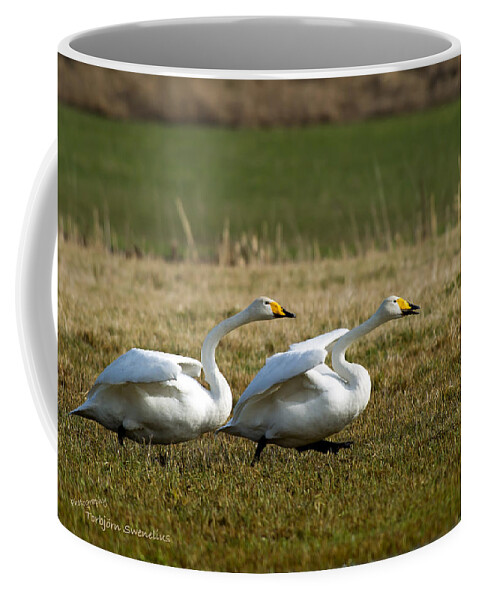 Ready Coffee Mug featuring the photograph Ready stead go by Torbjorn Swenelius