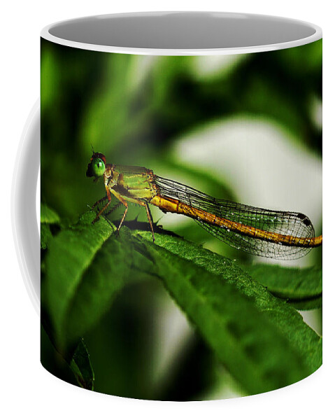Green Coffee Mug featuring the photograph Ready to Take Off - Damselfly by Ramabhadran Thirupattur