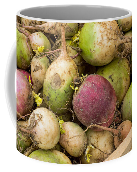 Red Coffee Mug featuring the photograph Red and Green Radishes by Photographic Arts And Design Studio