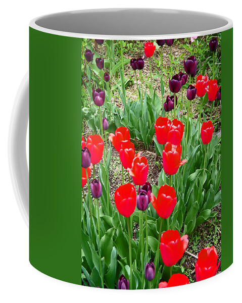Red Tulips Coffee Mug featuring the photograph Red and Purple Tulips by Aimee L Maher ALM GALLERY