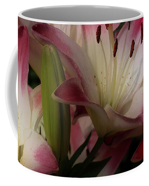 Lily Coffee Mug featuring the photograph Red And White Lily Flowers by Smilin Eyes Treasures