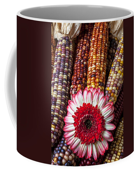 Indian Coffee Mug featuring the photograph Red and white mum with Indian corn by Garry Gay