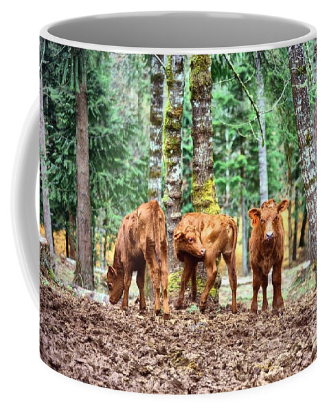  Coffee Mug featuring the pyrography Red Angus Calves by Larry Campbell