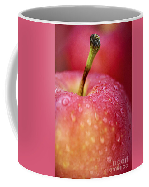 Apple Coffee Mug featuring the photograph Red apple macro by Elena Elisseeva