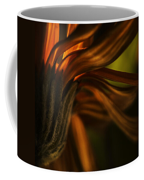 Nature Coffee Mug featuring the photograph Red Autumn Blossom Detail by Peter V Quenter