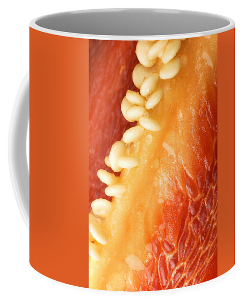 Agriculture Coffee Mug featuring the photograph Red Bell Pepper by Paul Whitten