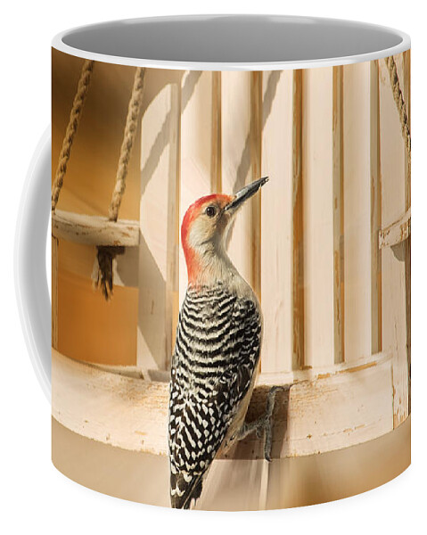 Bird Coffee Mug featuring the photograph Red Belly Daze by Bill and Linda Tiepelman