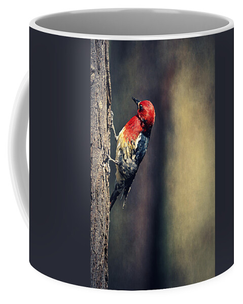Stanley Park Coffee Mug featuring the photograph Red-breasted Sapsucker - British Columbia by Maria Angelica Maira
