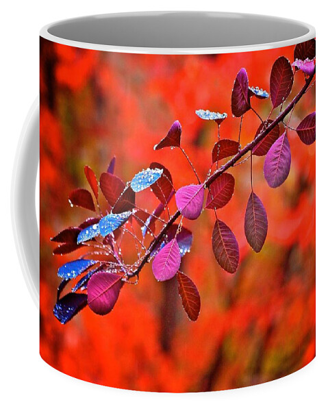 Smoke Bush Coffee Mug featuring the photograph Red colors in fall by Lynn Hopwood