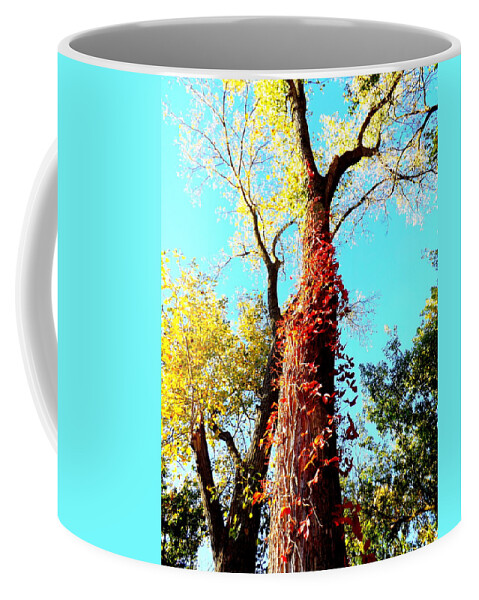 Red Creeper Coffee Mug featuring the photograph Red Creeper by Darren Robinson