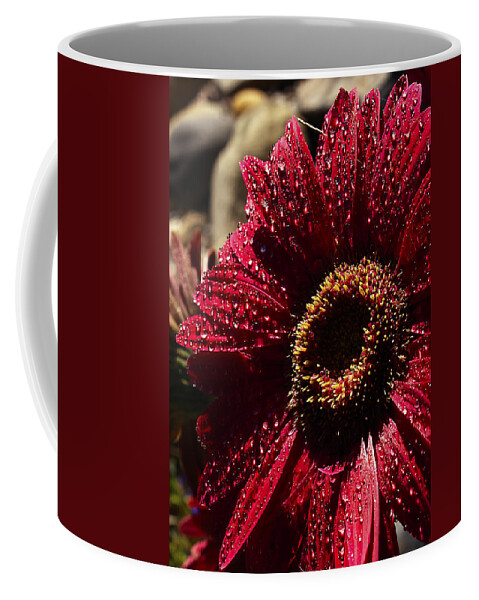 English Daisy Coffee Mug featuring the photograph Red Dew by Joe Schofield