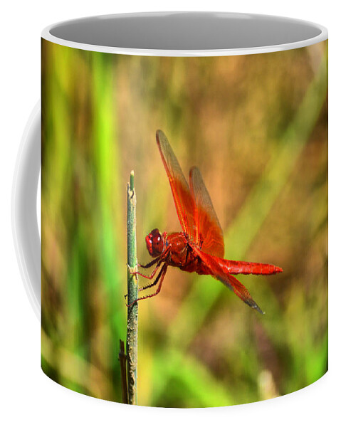 Dragon Fly Coffee Mug featuring the photograph Red Dragon Dreams by Spencer Hughes