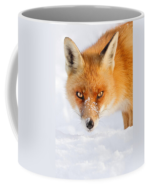 Fox Coffee Mug featuring the photograph Red Fox in the Snow by Roeselien Raimond