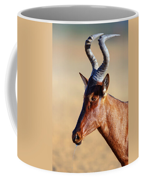 Hartebeest Coffee Mug featuring the photograph Red hartebeest portrait by Johan Swanepoel