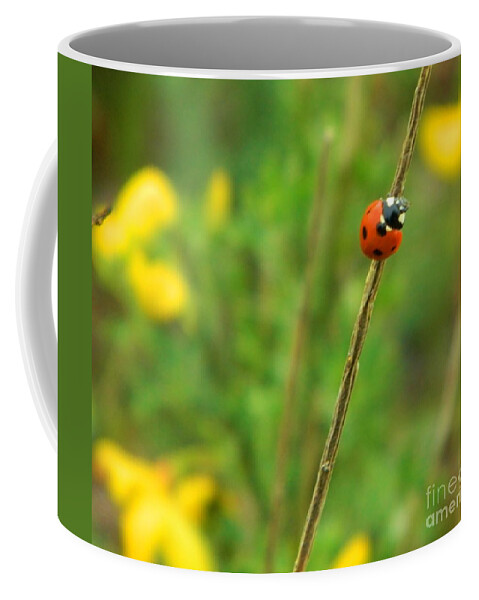 Ladybug Coffee Mug featuring the photograph Red Ladybug by Gallery Of Hope 