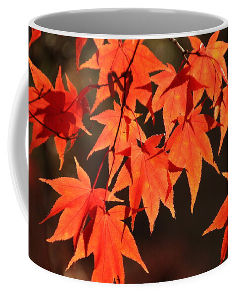Japanese Maple Tree Coffee Mug featuring the photograph Japanese Maple Leaves in Fall by Valerie Collins