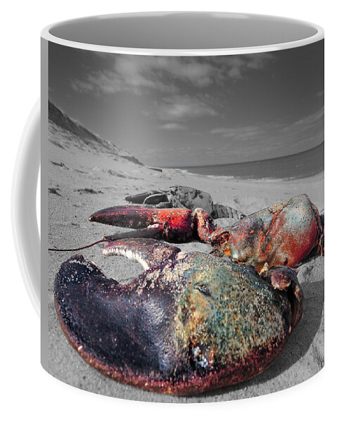 Red Lobster Coffee Mug featuring the photograph Red Lobster by Darius Aniunas