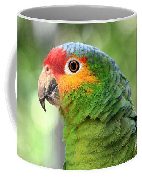 Animal Coffee Mug featuring the photograph Red-lored Amazon Parrot by Teresa Zieba
