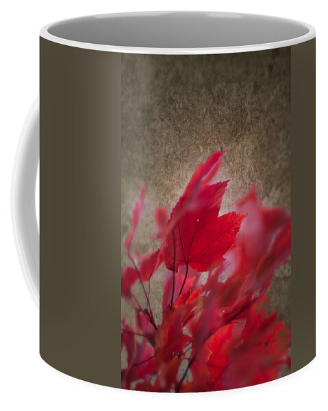 Artistic Fall Colors Coffee Mug featuring the photograph Red Maple Dreams by Jeff Folger