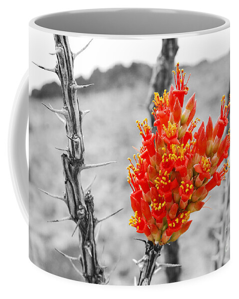 Travelpixpro Coffee Mug featuring the photograph Red Ocotillo Flower in Big Bend National Park Color Splash Black and White by Shawn O'Brien
