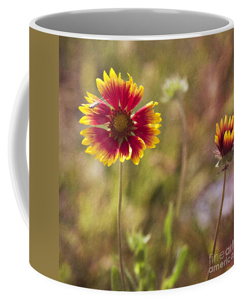 Flowers Coffee Mug featuring the photograph Red on Yellow by Pam Holdsworth